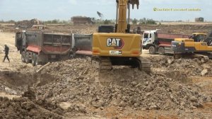 Caterpillar 336 Excavator Loading Trucks | HYUNDIA Dump Truck , CAT 336 Excavator