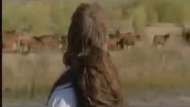 Dances With Wolves - John Dunbar Discovers Stands With A Fist and the Sioux Village смотреть онлайн