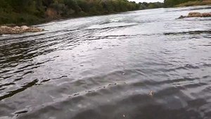 Ниверга, Рязанская область