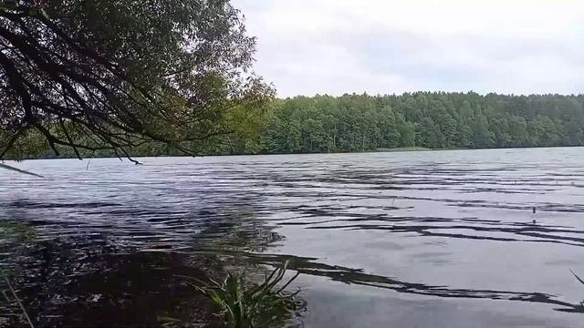 ПРИЕХАЛ,КЛЁВА НЕ БЫЛО,А ПОТОМ КАК НАЧАЛОСЬ!!!ЛОВЛЯ РЫБЫ НА ПОПЛАВОК ЛЕТОМ