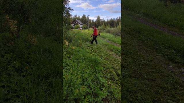 Правила кошения травы триммером, леска 3мм.