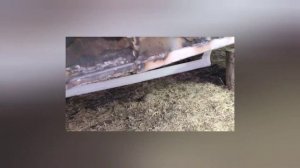 Замена порогов (бюджетный вариант) Мазда МПВ  2023 г.