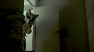 Halloween Special - Short Horror Film