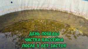 Чистка бассейна после 5 лет застоя