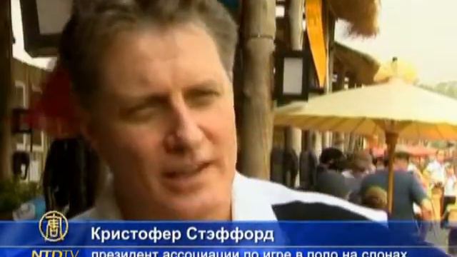 В соревнованиях по поло участвуют слоны смотреть онлайн