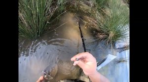 Пляжный Коп!!!  Мобила + Серебро