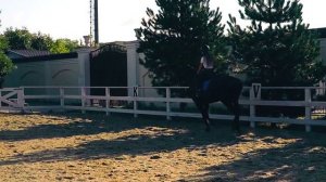 Отчет по практике "Станица Натухаевская" Торлакьян