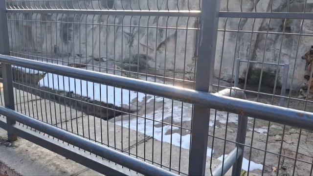 Хожиниёз и Хонзода идут в зоопарк (3-Я серия) смотреть онлайн