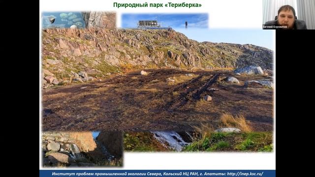 Боровичев Е.А. Как балансировать между охраной природы и развитием экотуризма смотреть онлайн