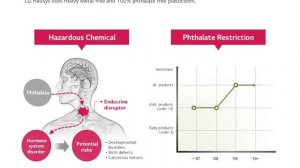 Non Phthalate