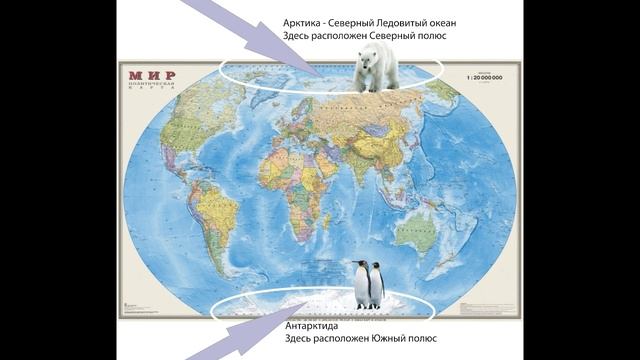 Окружающий мир 1 класс ч.2, тема урока "Где живут белые медведи?", с.12-13, Школа России.