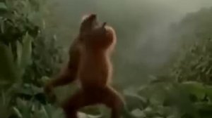 Обезьяна танцует под "субботу". Полная версия