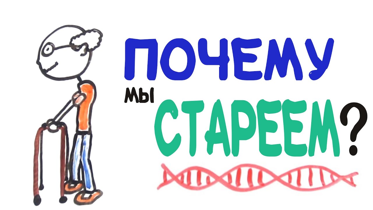 Почему мы стареем?