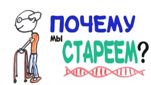 Почему мы стареем?