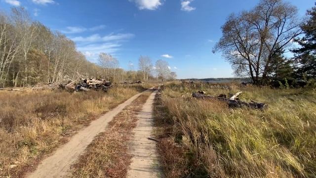 Осенняя прогулка по лесу в Липецкой области