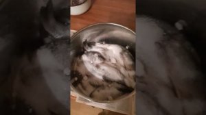 Простой способ засолить карася ЧАСТЬ2