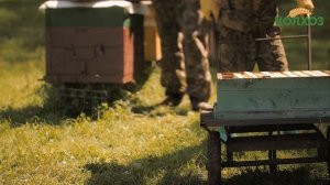 Эспарцетовый мёд.