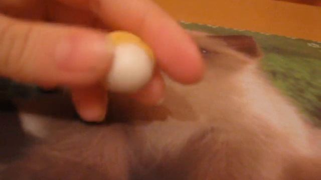 Мои поделки из полимерной глины. смотреть онлайн