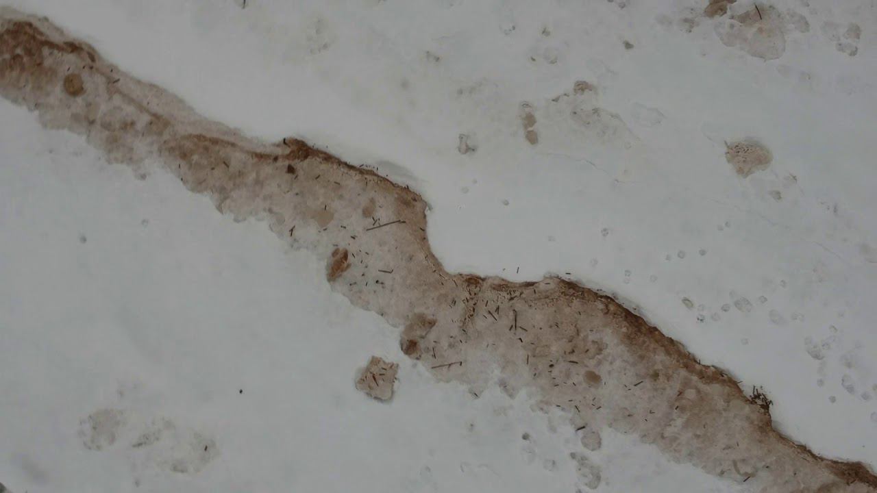 Прогулка на заливе, Репино. смотреть онлайн