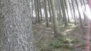 Honda cr 250 2t-Ktm 425 exc-YZ 250 2t