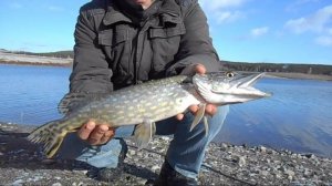 Ловля на резинку Судака Щуки.Крымская рыбалка.