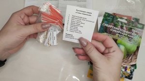 Эти томаты завалят вас урожаем, уже сметают пачками, будем собирать ведрами, томаты посажу в 2023