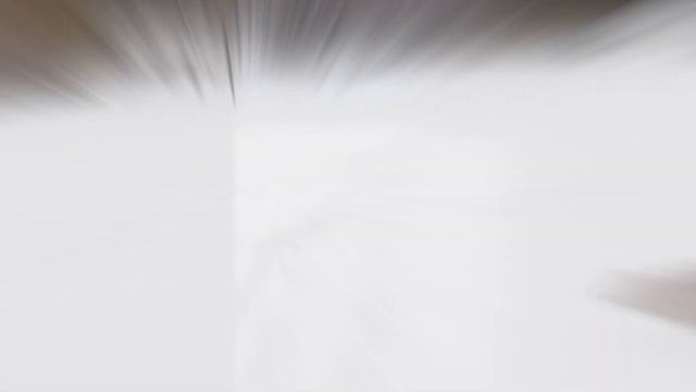 Welsh Springer Spaniel at Play from 8 Weeks to 1 Year Old смотреть онлайн