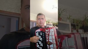 Любэ - Самоволочка на баяне 🎶🪗🤘#баянист #cover #подпишись #лайк #рекомендации