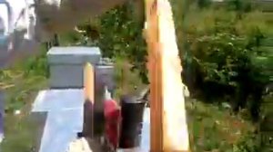 содержание матки в одном корпусе рута