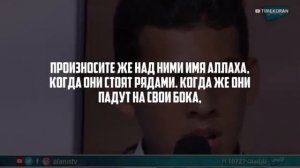 Чтец Мухаммад амин Аль Джазаири.