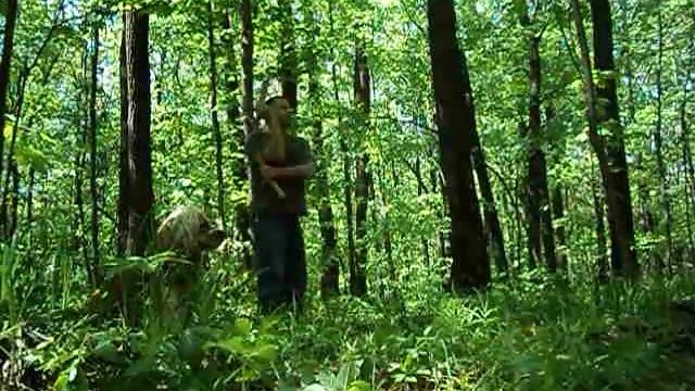 В лесу... смотреть онлайн