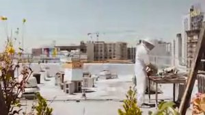 Потоковый австралийский улей Flow Hive