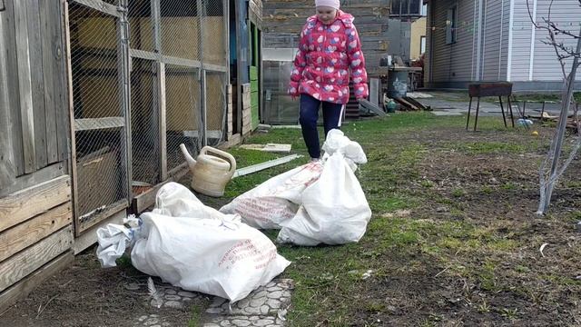 Купили кур с птицефабрики