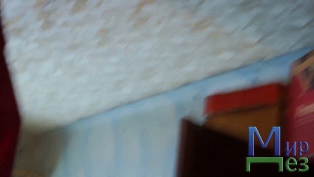 МирДез, уничтожение клопов Свердловская обл. (2019г) 23 смотреть онлайн