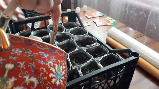 ТОМАТЫ БЕЗ ПИКИРОВКИ. Какие семена ТОМАТОВ буду сеять – обзор семян. ПОСЕВ томатов на рассаду