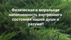 Физическая и моральная наполненность внутреннего состояния нашей души и разума!!