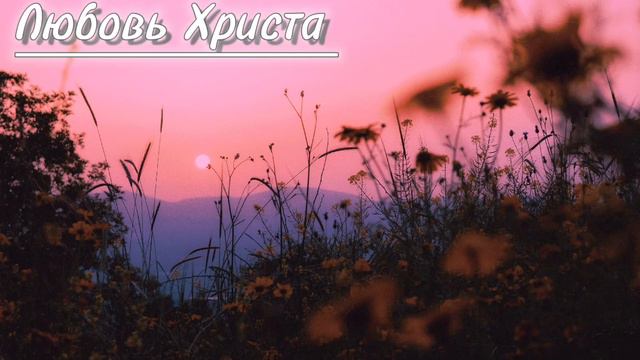 Пение "Любовь Христа" МСЦ ЕХБ🙏 Христианские песни.