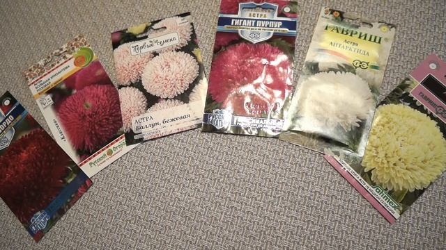 Астра - способы выращивания. смотреть онлайн