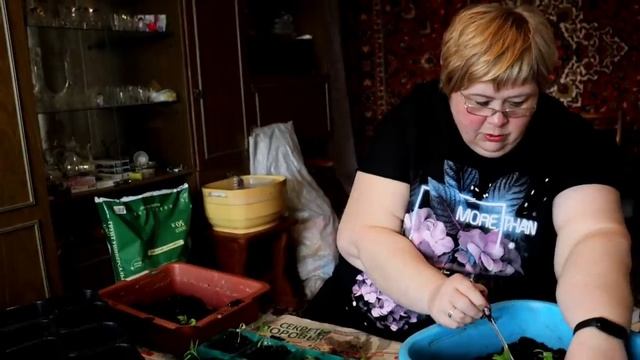 Пикируем помидоры/ Мои детские фотографии/ смотреть онлайн