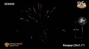 Фейерверк ОС8350 Кондор (1,1" х 25)