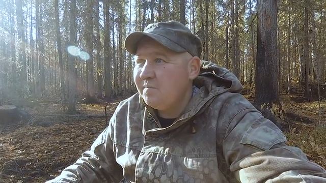 Изба в Горельнике. Строить или Нет? смотреть онлайн