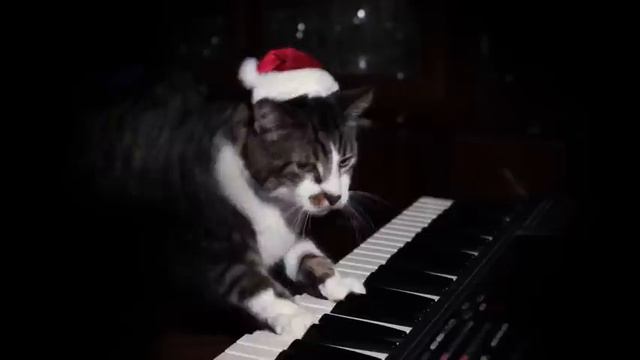 Made in romania one hour #manele #onehourvideo смотреть онлайн