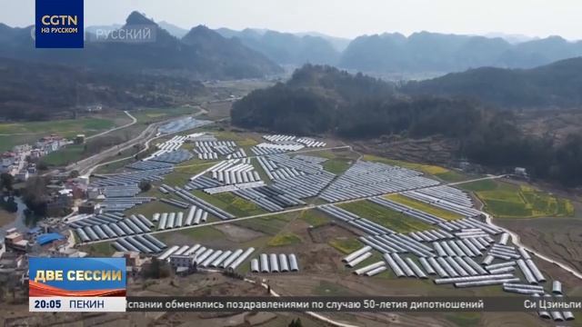 Перспективы развития традиционной китайской медицины в Китае смотреть онлайн