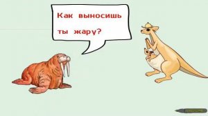 Морж спросил у Кенгуру