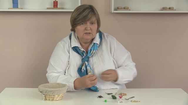 Монтессори-материал «Звук в начале слова» (№3, МИМП) смотреть онлайн