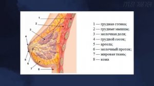 СИНИЙ ЙОД Ликвидатор любого недуга