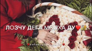 «Песня-Мохьмад»