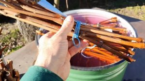 Подготовка черенков винограда к хранению.