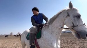 Туулган күн кут болсун Бауш.