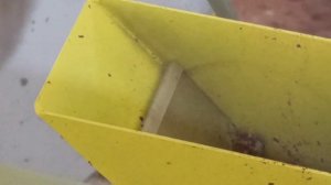 Извлекаю пергу при помощи агрегата АИП -10